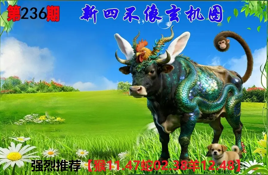 236期香港会员报