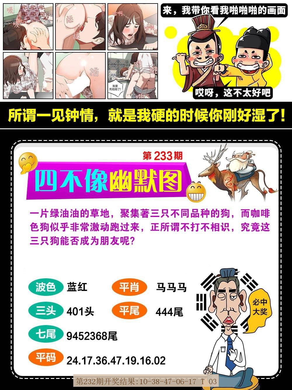233期