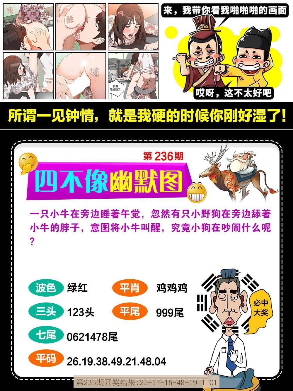 236期
