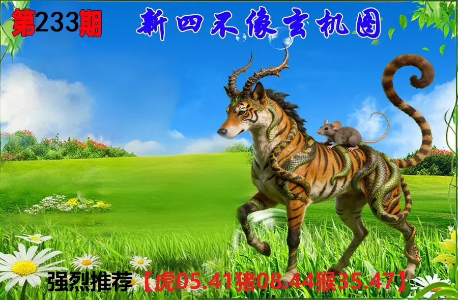 233期香港会员报