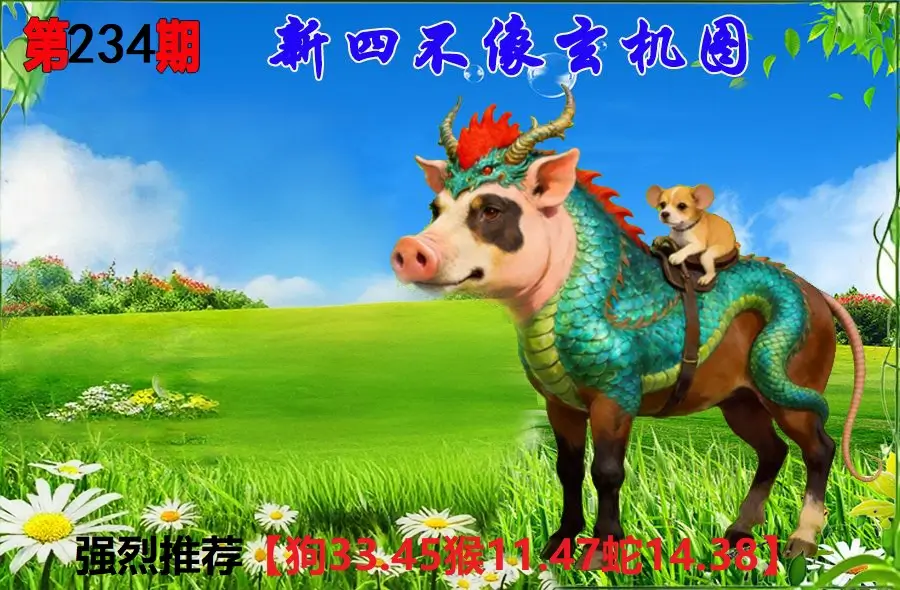 234期香港会员报