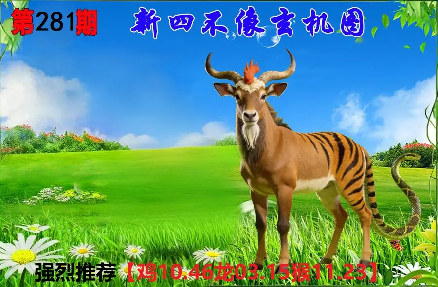 281期香港会员报